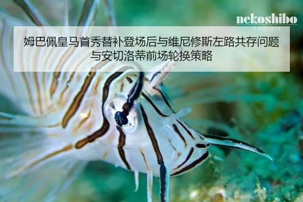 mu-ba-pei-huang-ma-shou-xiu-ti-bu-deng-chang-hou-yu-wei-ni-xiu-si-zuo-lu-gong-cun-wen-ti-yu-an-qie-luo-di-qian-chang-3-434.jpg